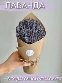 Лаванда букет My Lavanda Shop 140023721 купить за 382 ₽ в интернет-магазине Wildberries