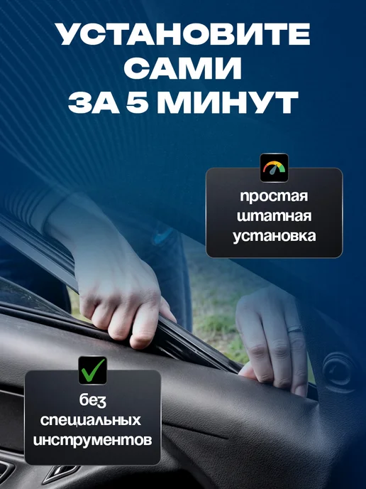 Технология Будущего Бархотки внутренние Гранта, Калина, вариант, фото 4