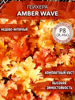 Гейхера Amber Wave Садовые Растения 140081234 купить за 355 ₽ в интернет-магазине Wildberries