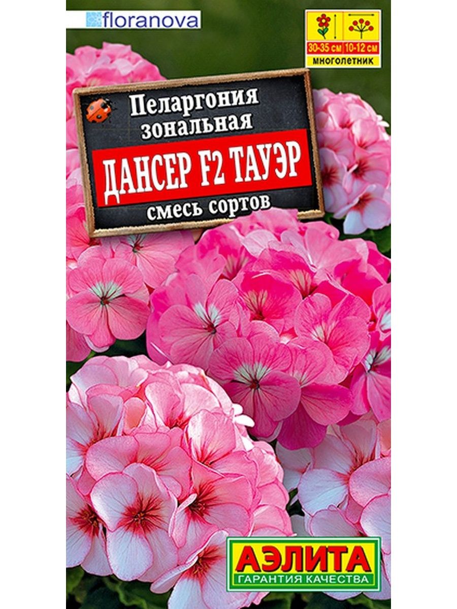 Пеларгония дансер f2. Пеларгония зональная Дансер f2 Тауэр смесь. Пеларгония зональная Дансер Тауэр. Пеларгония Дансер Вайт f2.