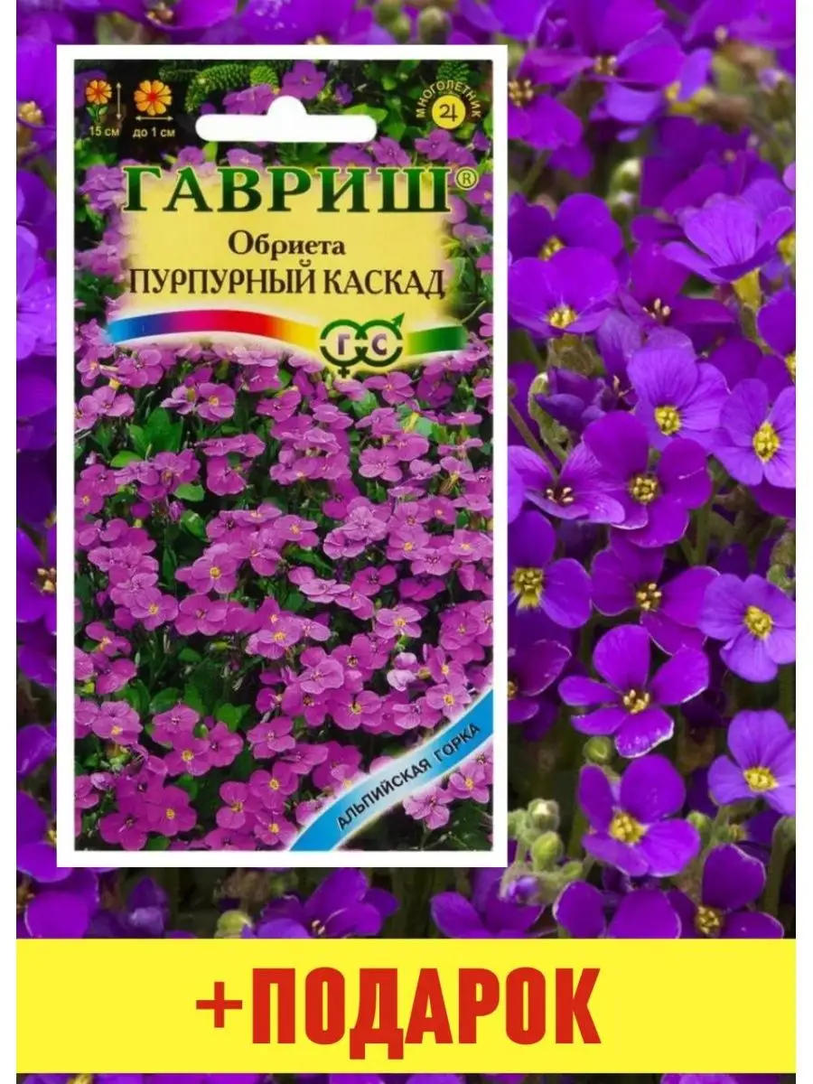Семена цветов многолетников Обриета Пурпурный 1 шт Гавриш 140099953 купить  за 129 ₽ в интернет-магазине Wildberries