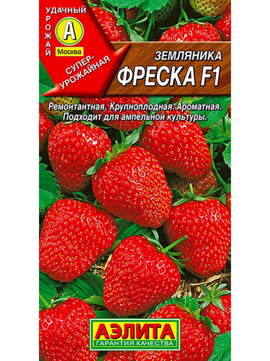 Земляника фреска. Клубника земляника крупноплодная ремонтантная f1 Настенька. Земляника фреска f1 (крупноплодная ремонтант.,клубника) (евро, 15). Земляника сладкоежка f1 Аэлита ремонтантная,крупноплод.. Семена земляника Московский деликатес f1.