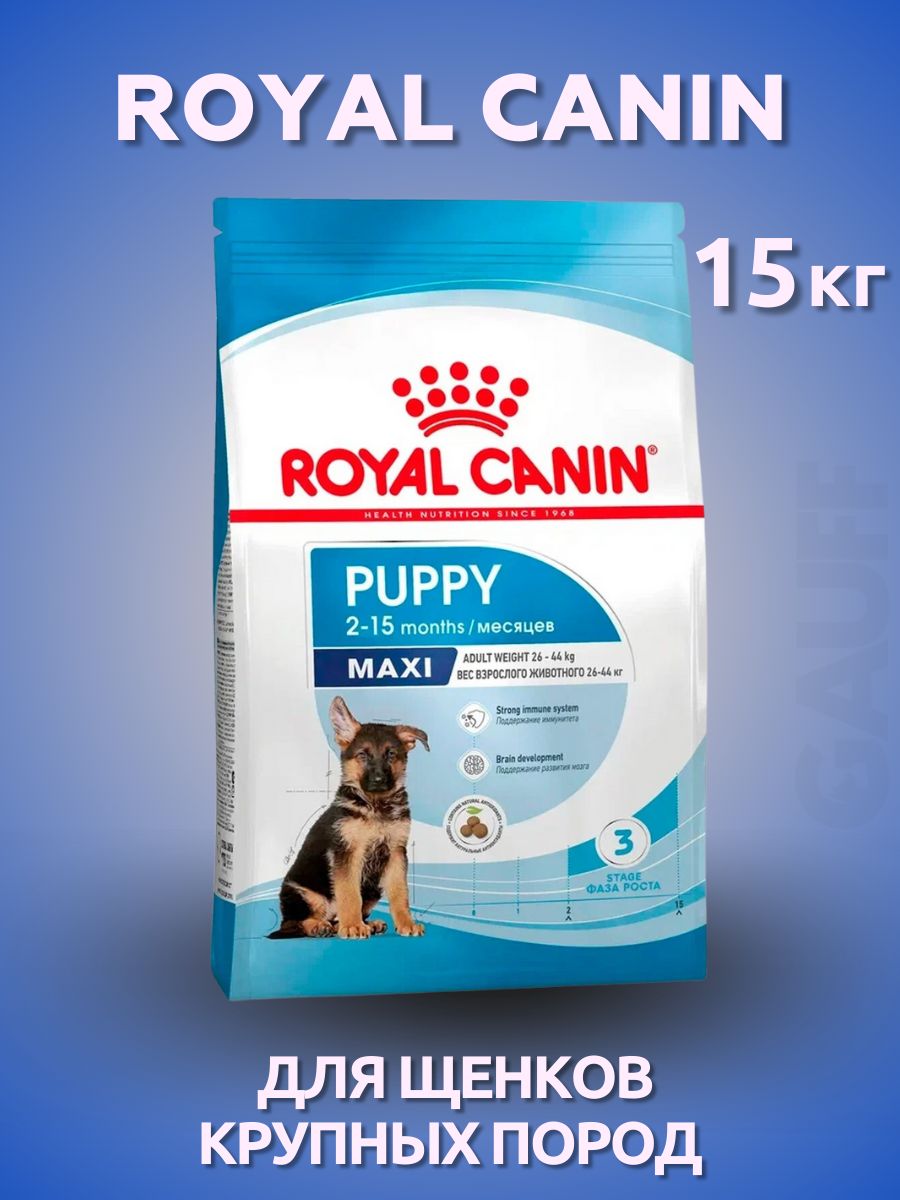 Роял канин макси паппи. Роял Канин макси Паппи 15. Royal Canin Maxi Puppy. Роял Канин для собак макси Паппи. Royal Canin Maxi Puppy вес 3кг.