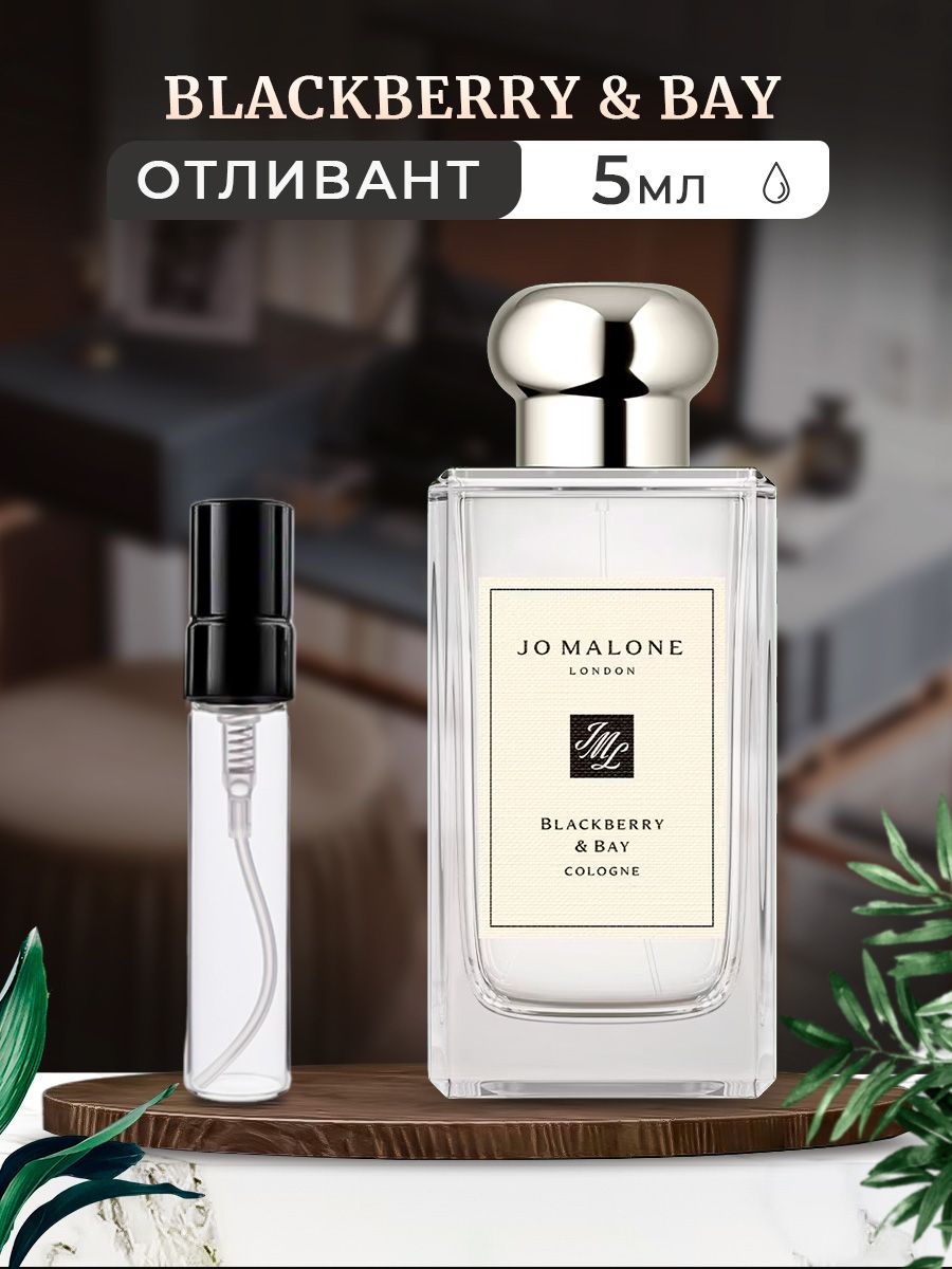 Blackberry bay отзывы. Джо Малон блэкберри Бэй. Jo Malone BLACKBERRY Bay. Jo Malone BLACKBERRY Bay Ноты. Джо Малон ежевика описание аромата.