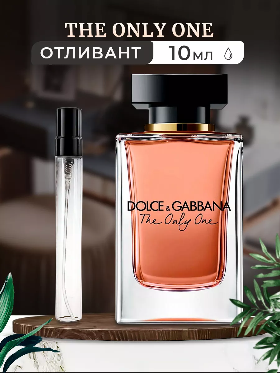 Buy dolce and gabbana the only one best sale