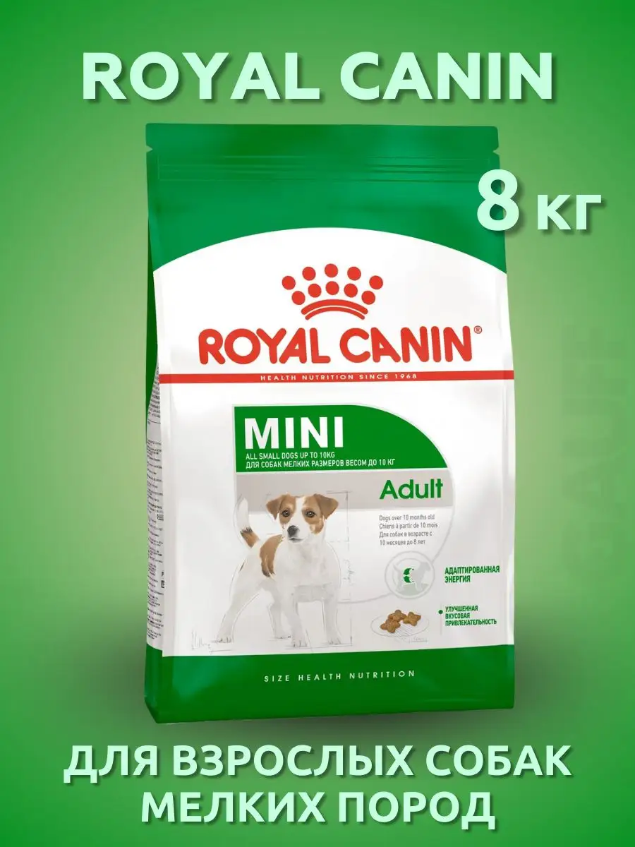 Mini mature best sale royal canin