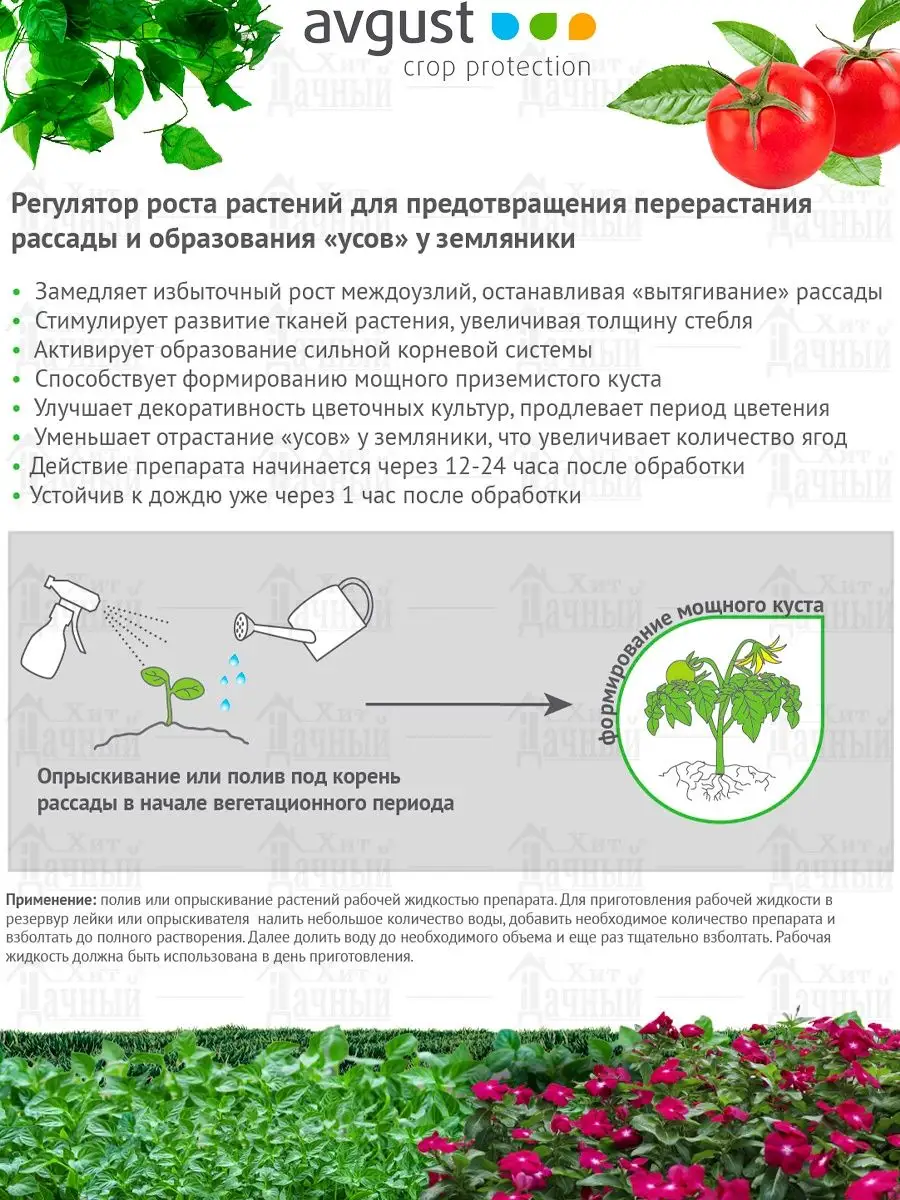 Рэгги регулятор роста для растений универсальный AVGUST 140170823 купить в  интернет-магазине Wildberries