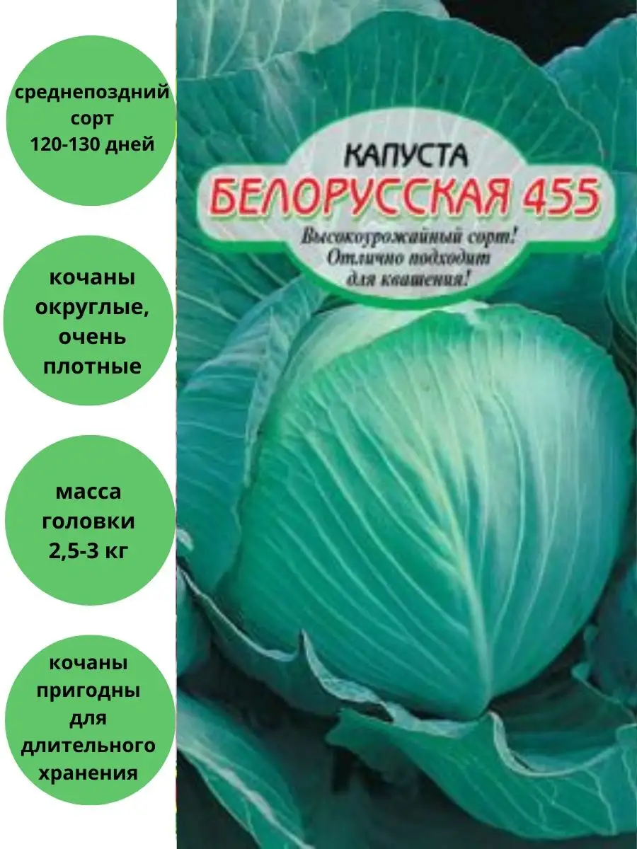 Капуста Белорусская 455 белокочанная для квашения Сибирские сортовые семена  140193746 купить за 111 ₽ в интернет-магазине Wildberries