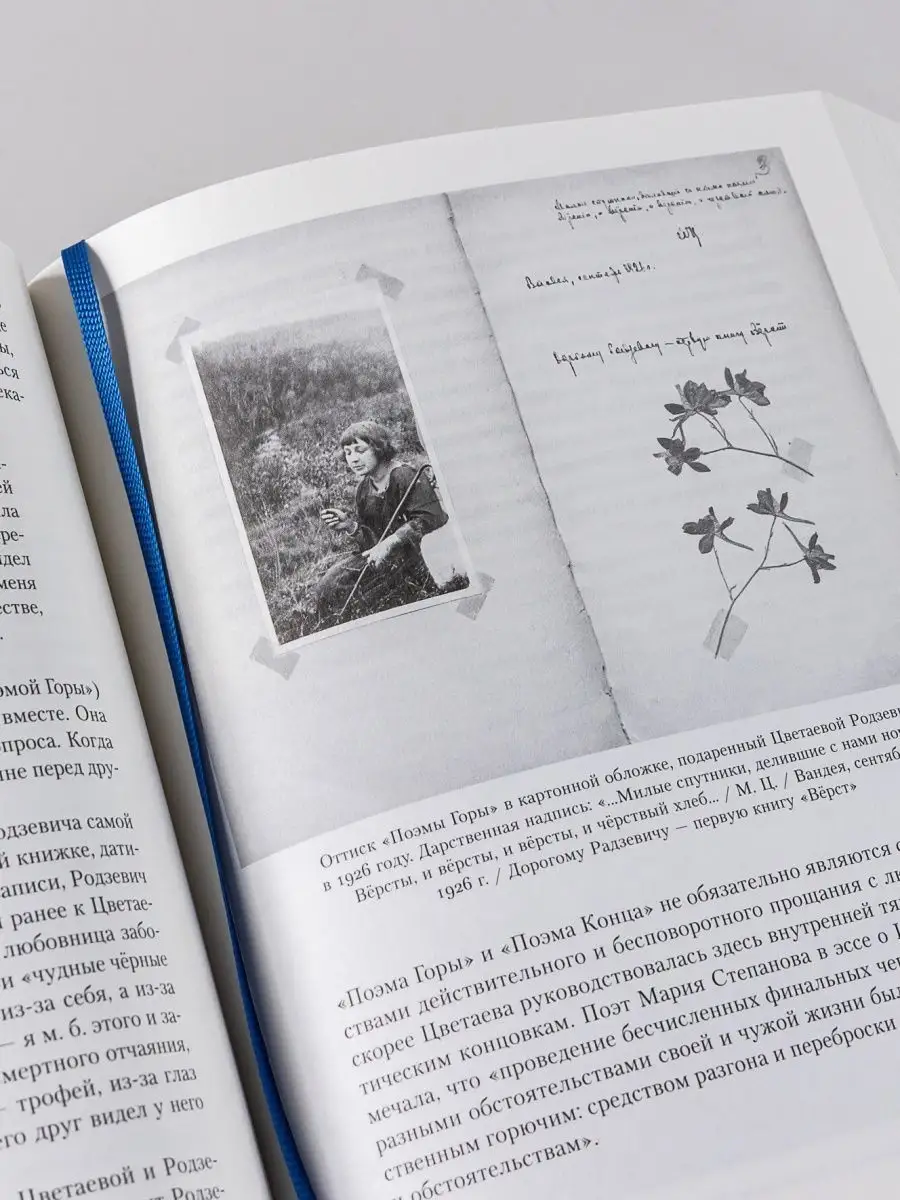 Полка: О главных книгах русской литературы (3, 4 том) Альпина. Книги  140234047 купить за 2 079 ₽ в интернет-магазине Wildberries