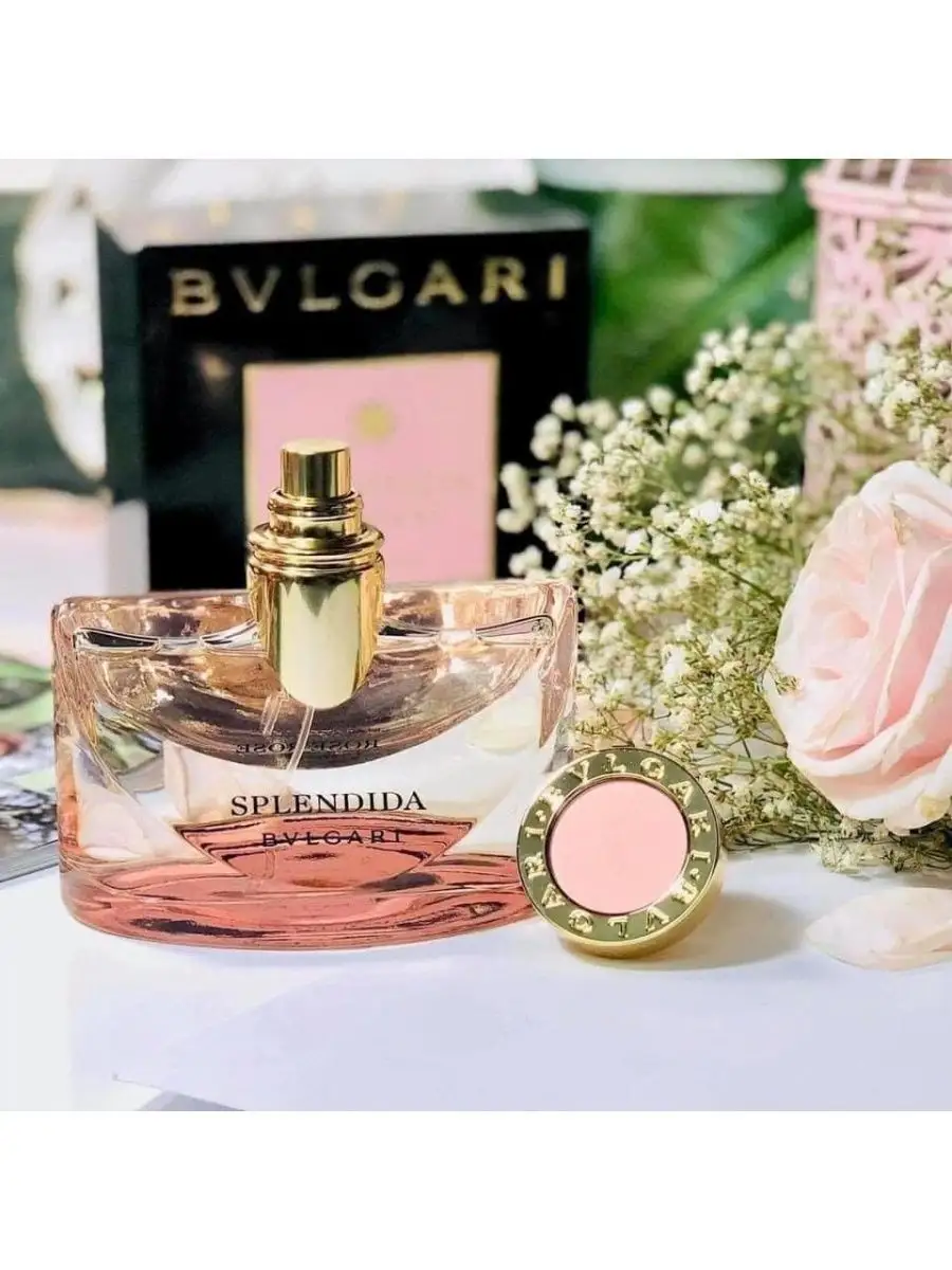 Bvlgari rose splendida best sale