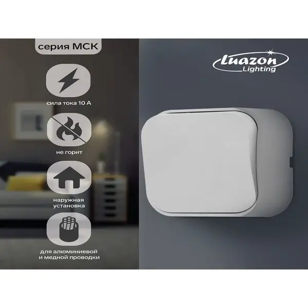 Выключатель одноклавишный Luazon Lighting 10 А, накладной