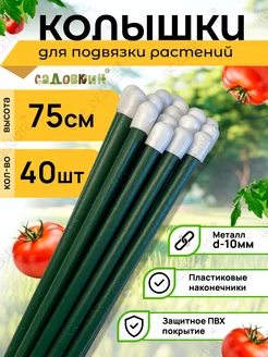 Колышки садовые для подвязки металлические 0,75м (40 штук) Садовкин 140342549 купить за 1 208 ₽ в интернет-магазине Wildberries