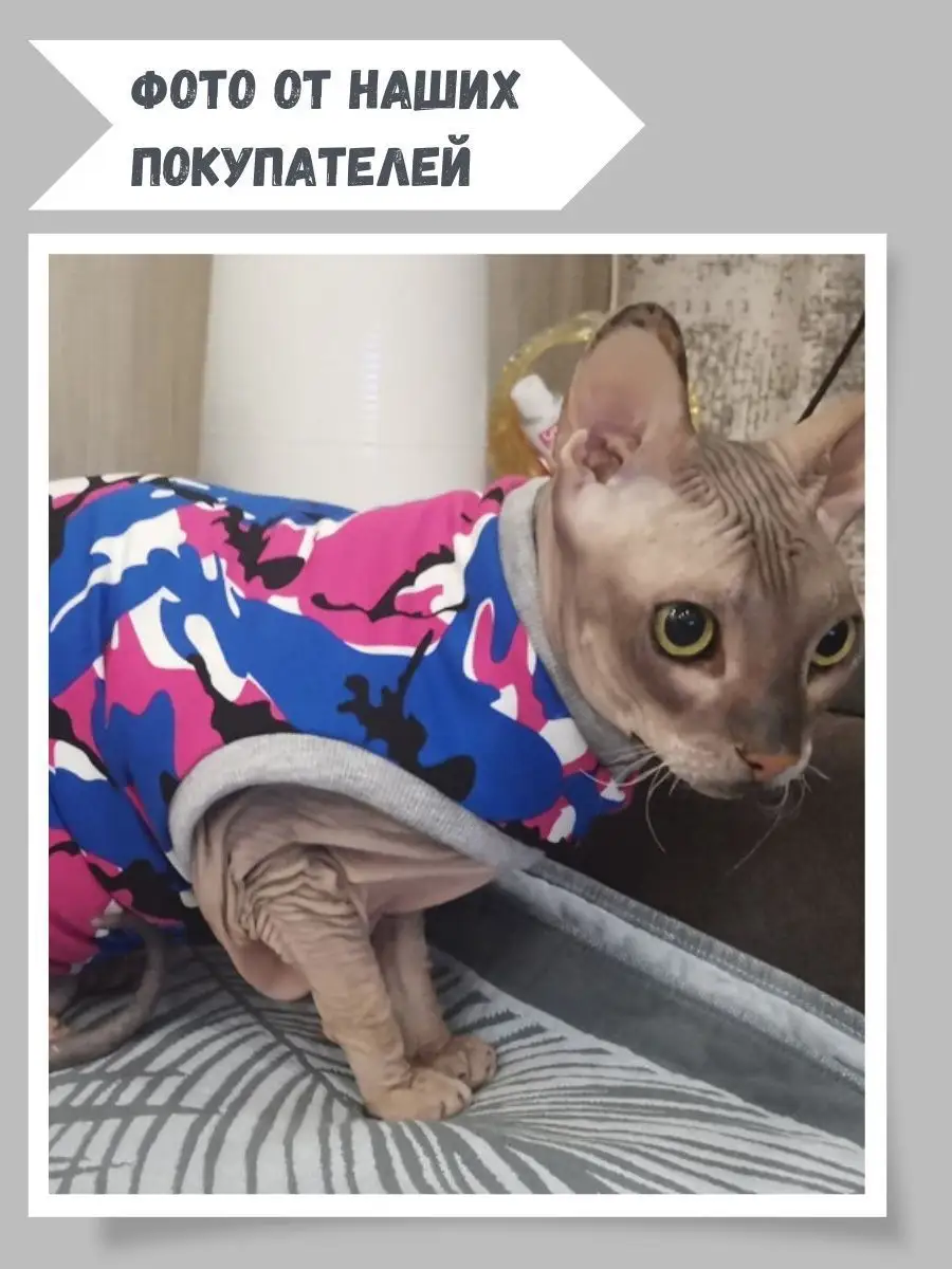 Экспресс МК по вязанию свитера и платья для кошки сфинкс