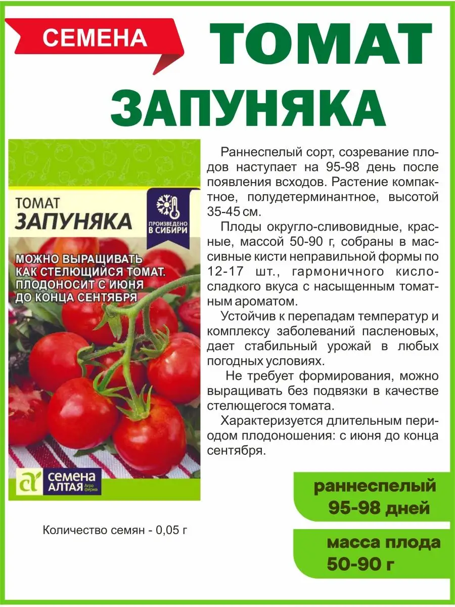 Запуняка. Томат Запуняка семена Алтая. Помидоры Запуняко семена Алтая. Сорт помидор Запуняко семена Алтая. Характеристика и описание томата Запуняка.