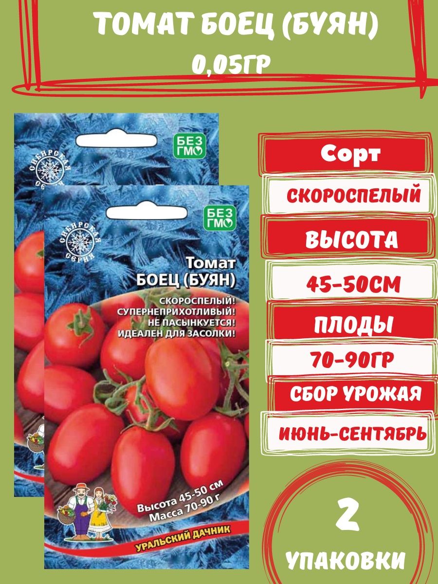 Томат Буян. Томат боец (Буян). Томат боец Буян характеристика. Томат Буян рассада.