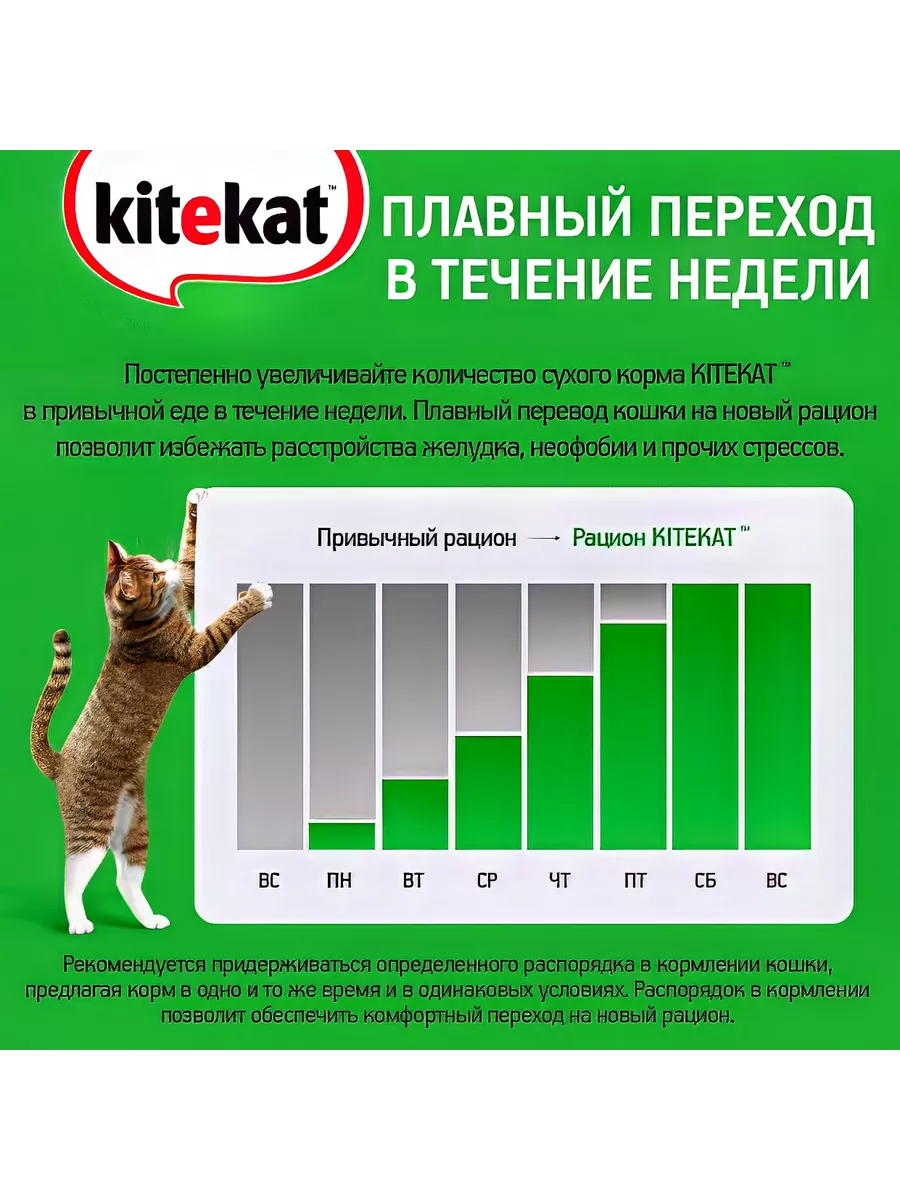 Корм для кошек 15 кг Kitekat 140632015 купить за 4 227 ₽ в  интернет-магазине Wildberries