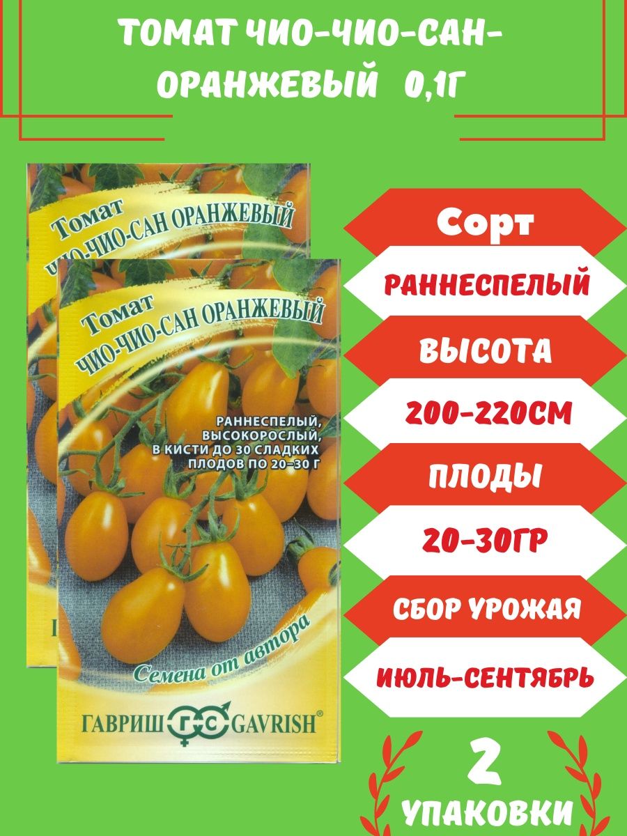 Сорт помидор чио чио сан отзывы. Чио Чио Сан помидоры. Томат Чио-Чио-Сан оранжевый. Гавриш томат Чио-Чио-Сан. Сорт помидор Чио Чио Сан.