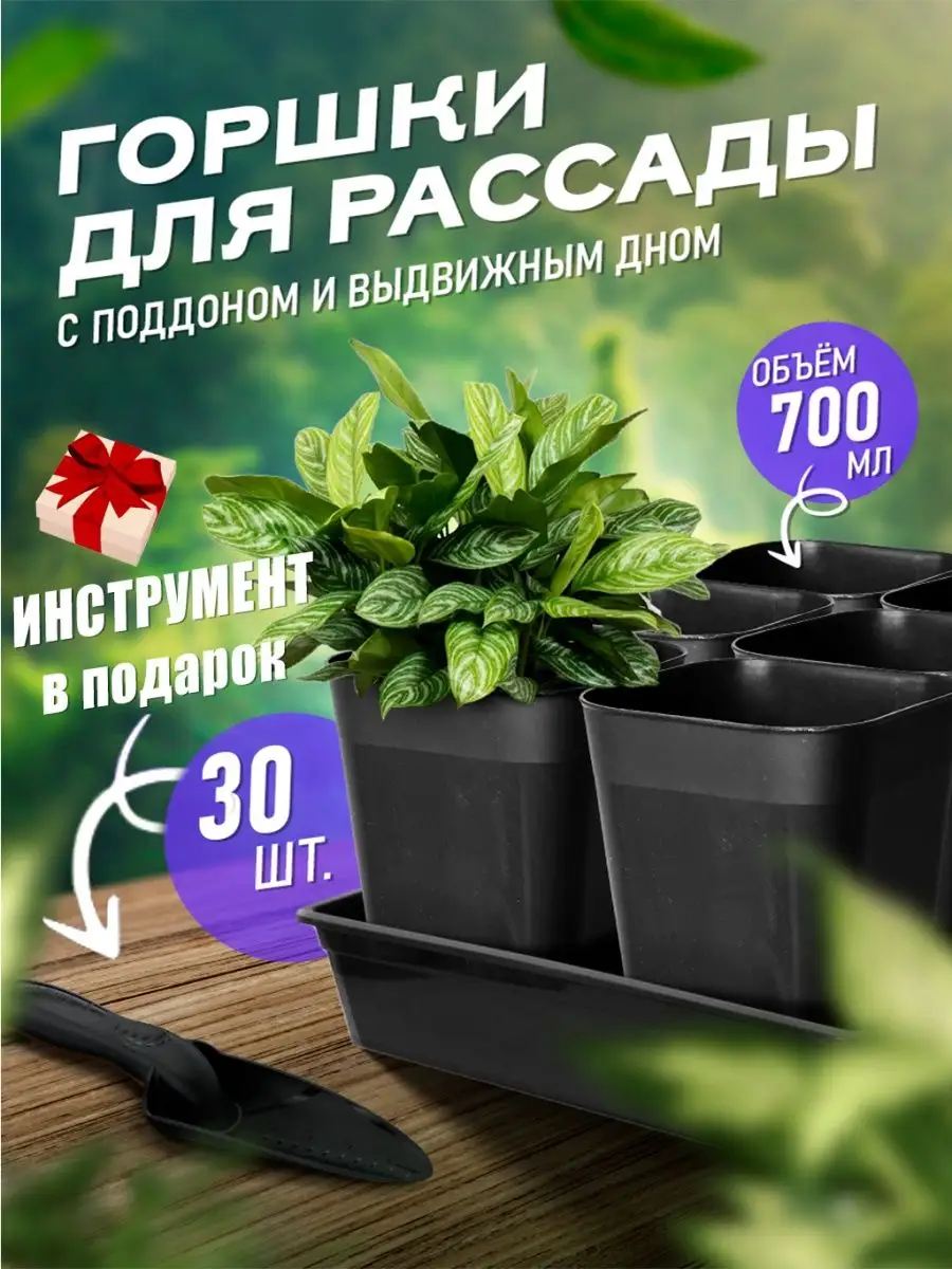 Горшки для растений