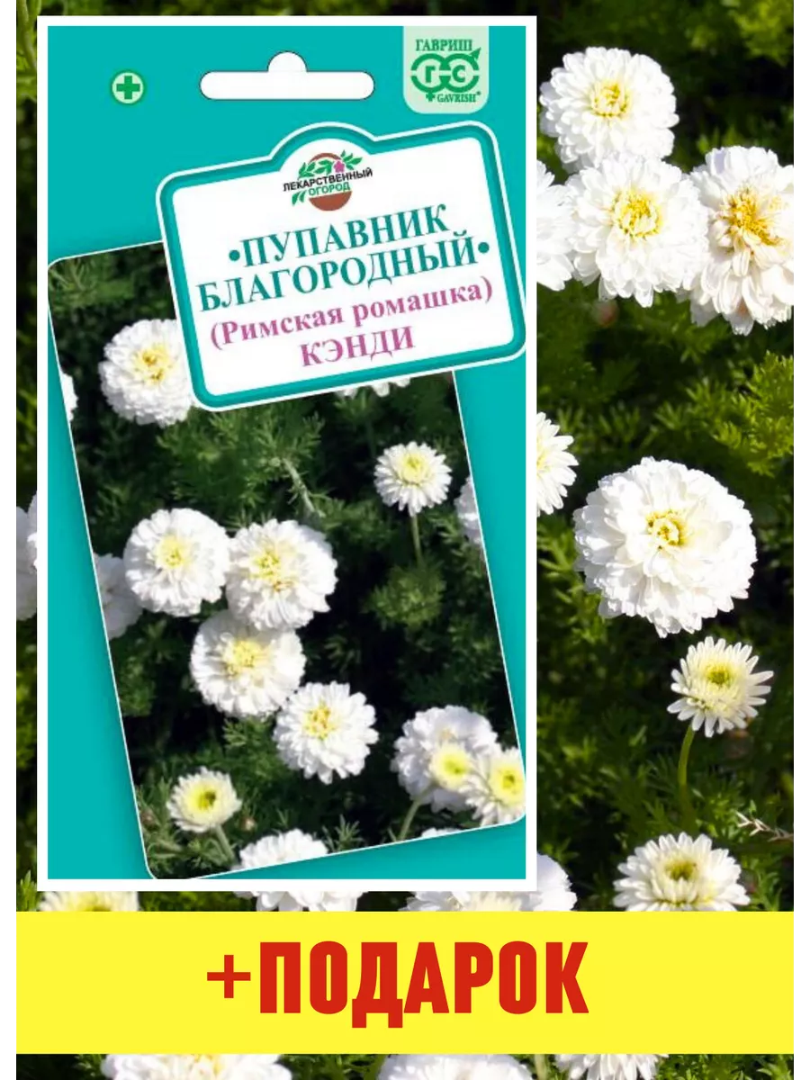 Семена ромашки аптечная Римская Кэнди 1 шт Гавриш 140707329 купить за 129 ₽  в интернет-магазине Wildberries