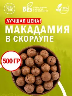 Макадамия в скорлупе отборный 500 гр. Свежий урожай Орех 3А ABCNUTS 140754322 купить за 381 ₽ в интернет-магазине Wildberries