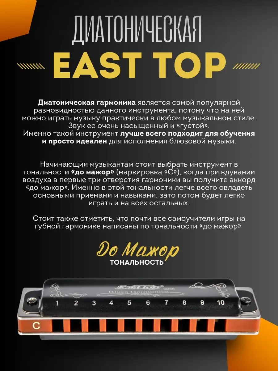 Губная гармошка EAST TOP профессиональная EAST TOP 140758906 купить за 1  495 ₽ в интернет-магазине Wildberries