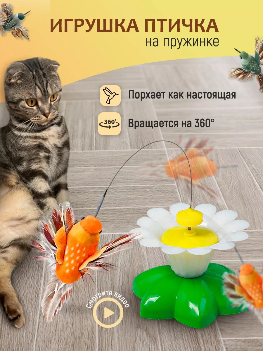 Игрушки для кошек интерактивные птичка drop.shop 140767659 купить в  интернет-магазине Wildberries