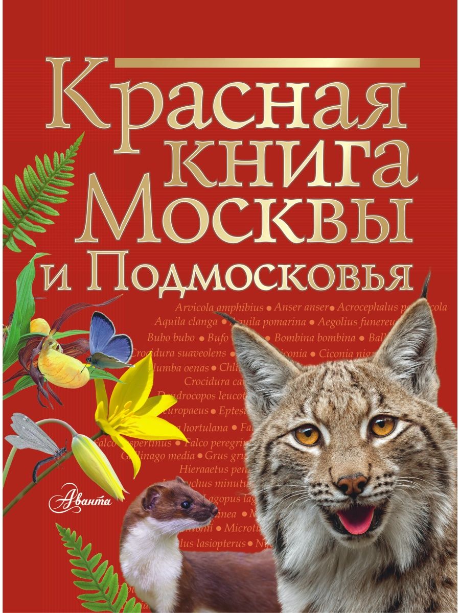 Красная книга Москвы и Подмосковья Издательство АСТ 140794739 купить за 981  ₽ в интернет-магазине Wildberries