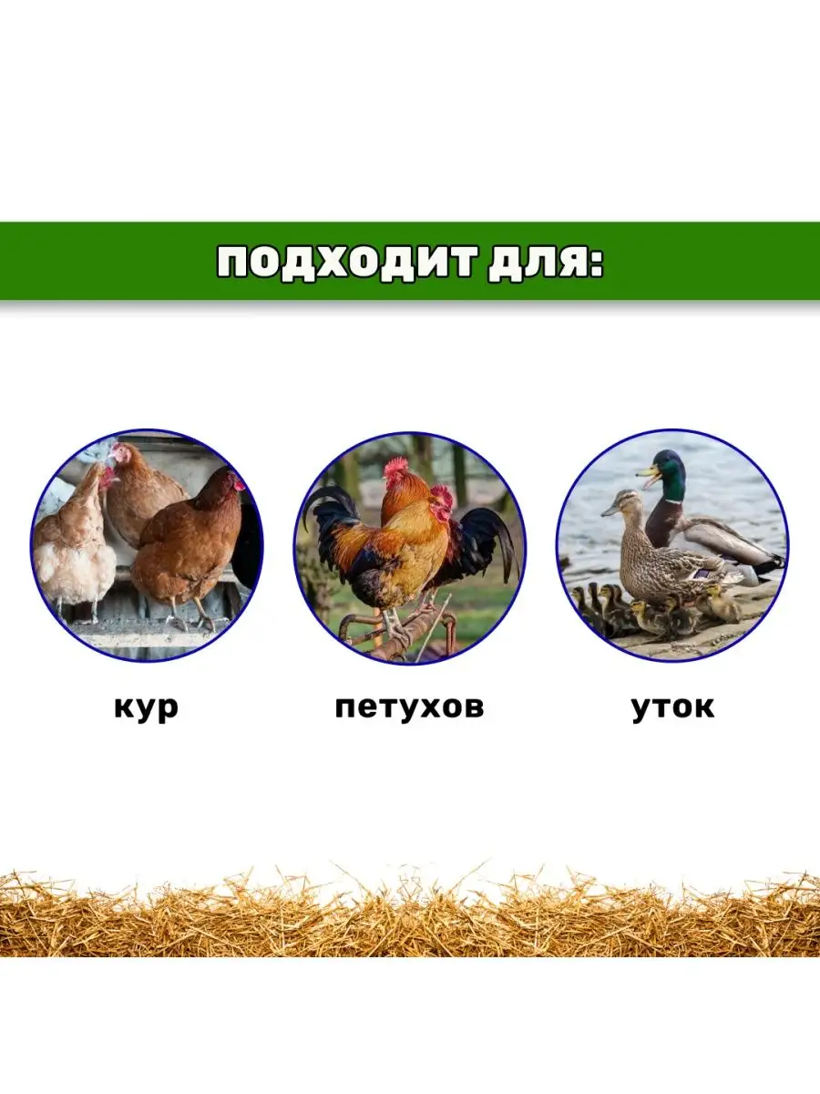 Конус M для забоя кур,уток,гусей. Сельский дворик 140798642 купить за 1 082  ₽ в интернет-магазине Wildberries