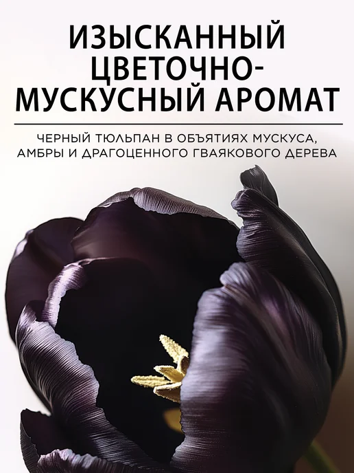 POGONIA Корейский питательный кондиционер "Черный тюльпан", 500мл, 500 мл, фото 3