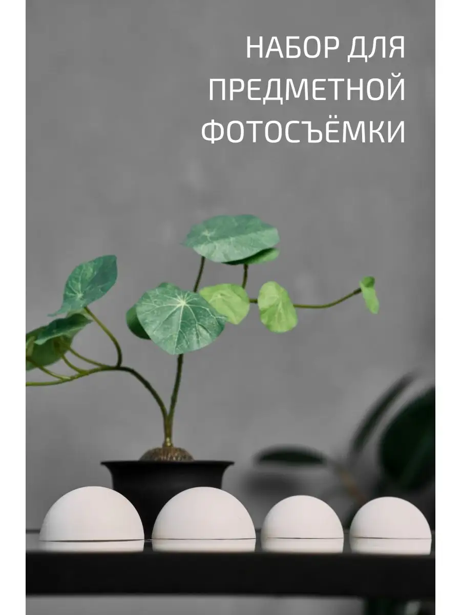 Реквизит для предметной фотосессии Полусферы