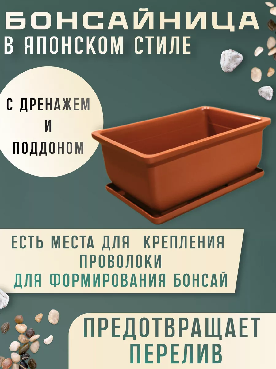 Набор для выращивания растений и деревьев бонсай для дома Тысяча листьев  140894480 купить в интернет-магазине Wildberries