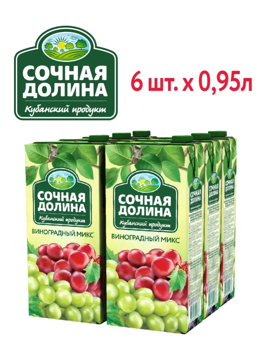 Напиток виноградный 0,95 л х 6 шт. Сочная долина 140930080 купить за 577 ₽  в интернет-магазине Wildberries