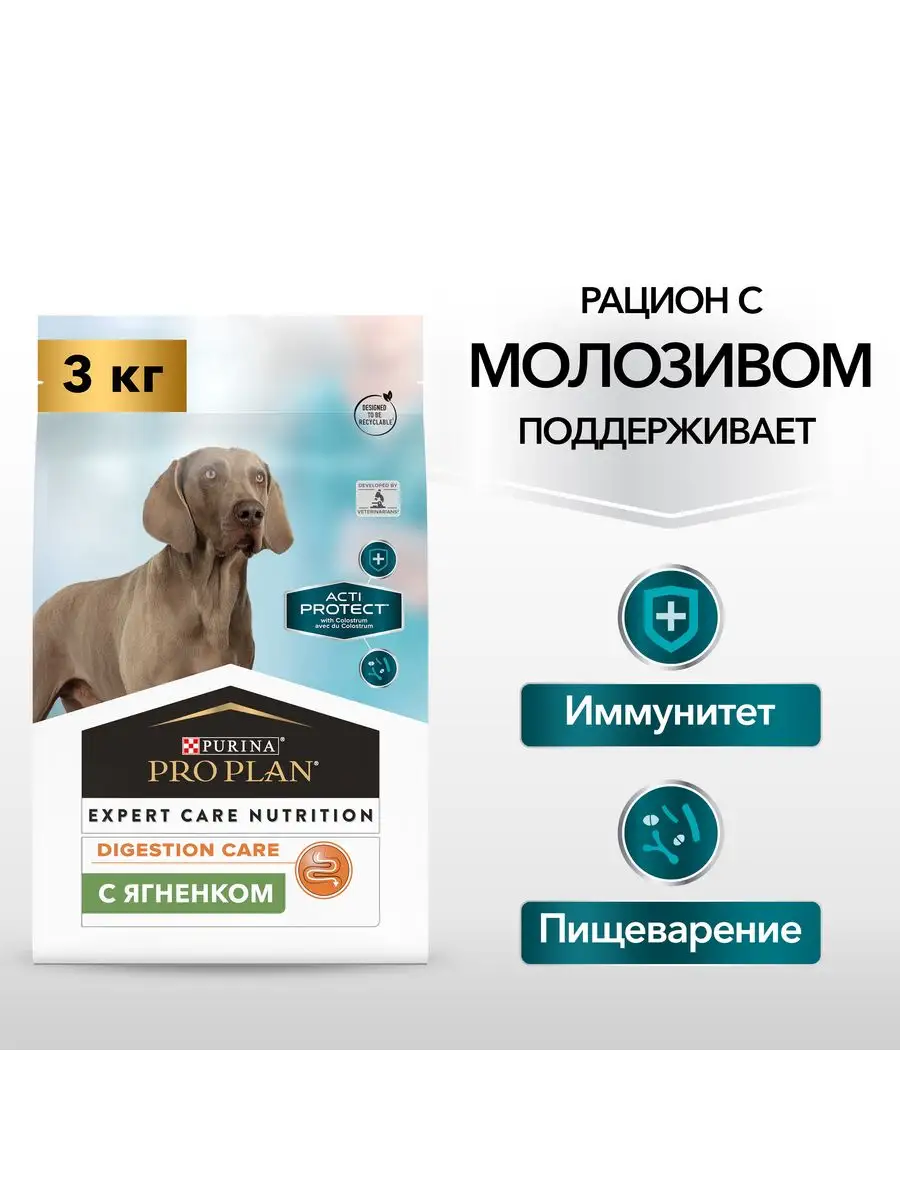 рентген собаки порно Сухой корм для собак Acti Protect, с ягненком 3 кг PRO PLAN 140941911  купить в интернет-магазине Wildberries
