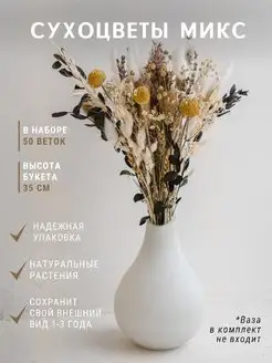 Сухоцветы букет для декора в вазу TRAVA_DECOR 141014669 купить за 926 ₽ в интернет-магазине Wildberries