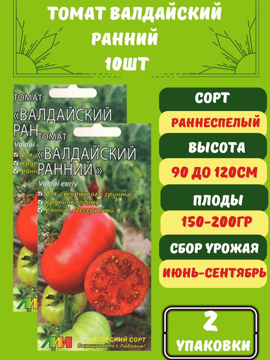 Сорта томатов для северо запада. Томат Валдайский. Помидор Валдайский ранний. Сорта томатов для Северо-западных регионов. Томаты для Северо Запада лучшие сорта отзывы.