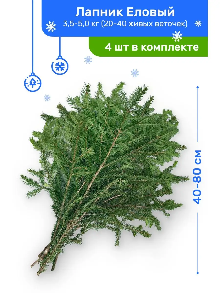 Лапник Еловый банч (20-40 живых веточек), комплект из 4 шт