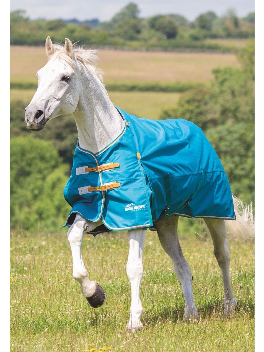 Horses wear. Амуниция для лошади. Одежда для лошадей. Попона для лошади QHP. Сухая лошадь.