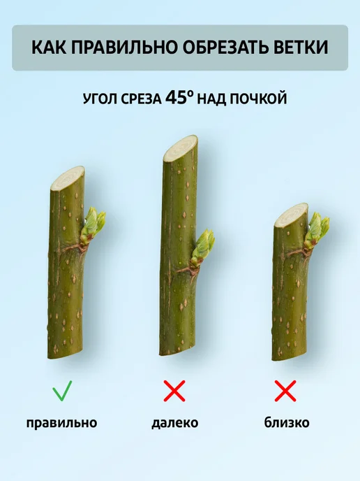 Garden Show Секатор садовый цельнокованный для цветов и деревьев, 21 см, оранжевый, фото 4