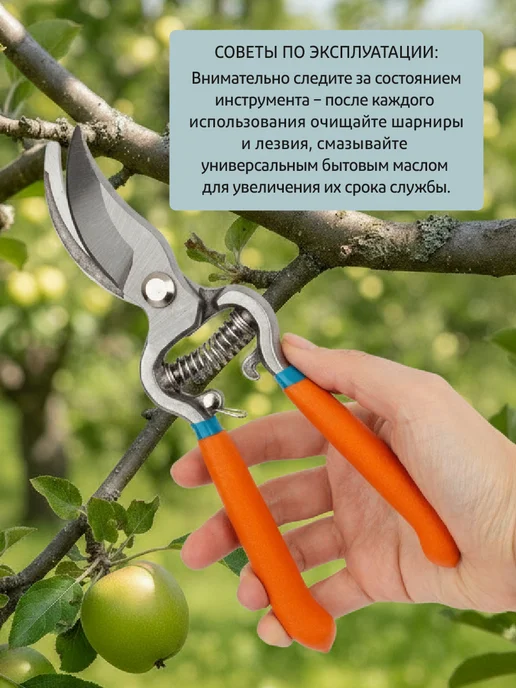 Garden Show Секатор садовый цельнокованный для цветов и деревьев, 21 см, оранжевый, фото 5