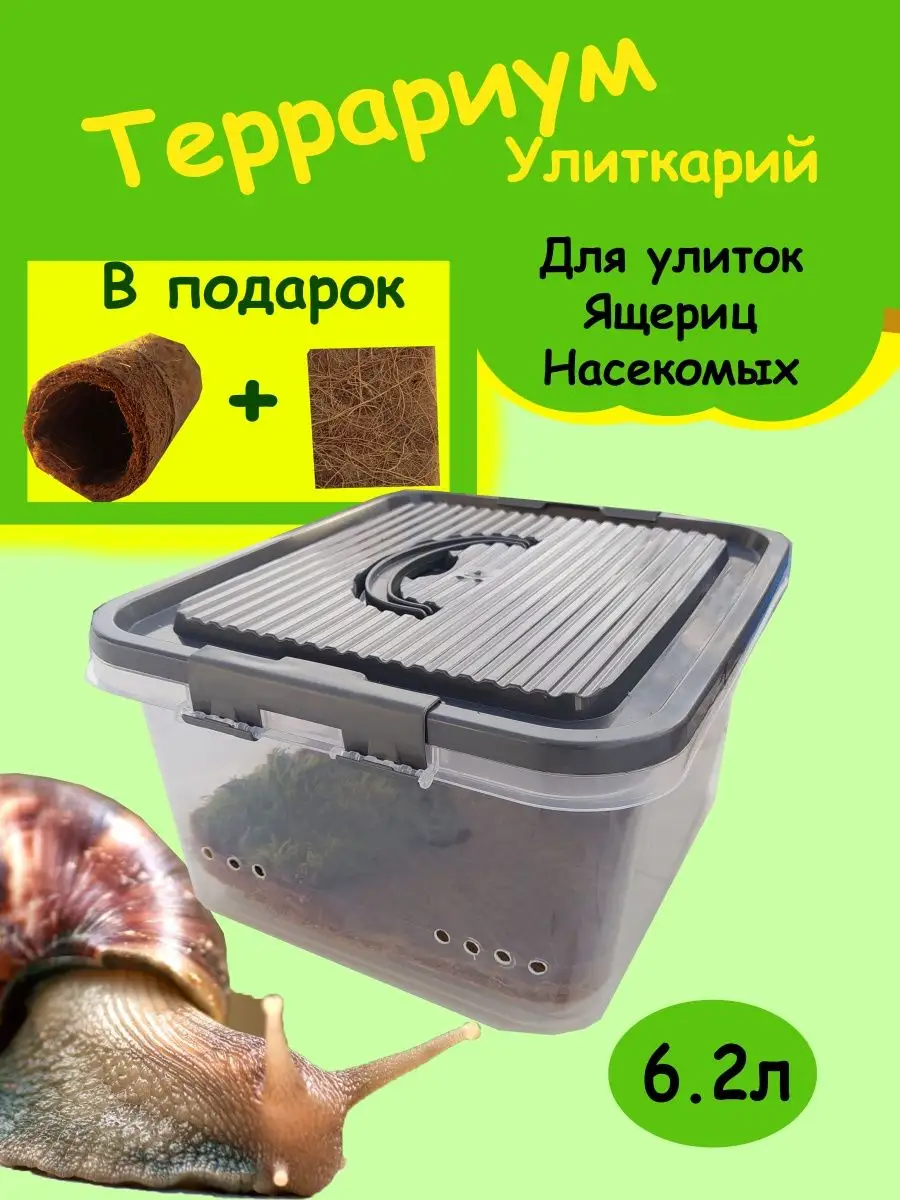 Дом для улитки ахатины