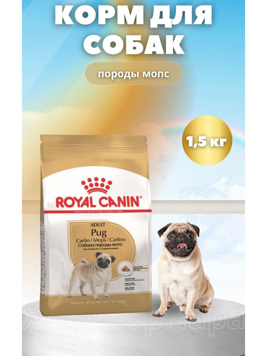 Корма для собак мопс. Royal Canin Мопс. Royal Canin Pug Adult корм для взрослых собак породы Мопс от 10 мес, 1,5 кг. Корм для мопсов. Корм для собак мопсов сухой.