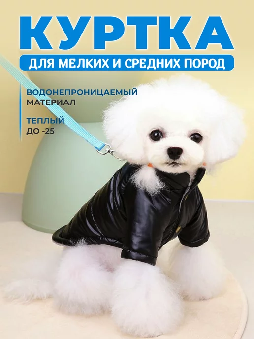 Одежда для собак в интернет-магазине steklorez69.ru