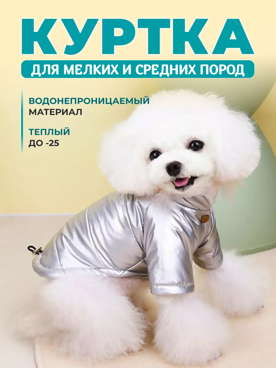 Дог Бутик RICHDOGWORLD.RU - модная одежда для собак и аксессуары из США, Европы, Кореи и Японии