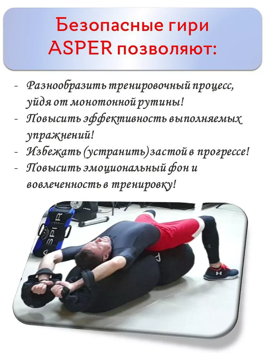 Гиря 6 кг безопасная ASPER ABASHKIN 141268395 купить за 5 170 ₽ в  интернет-магазине Wildberries