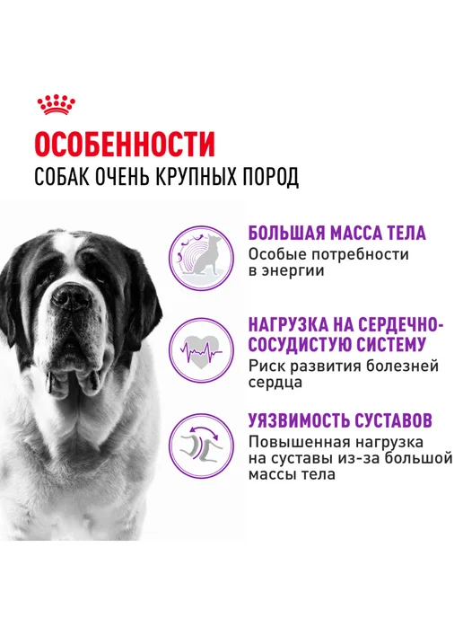 Сухой корм Royal canin Гигантских для собак, 15 кг, фото 2