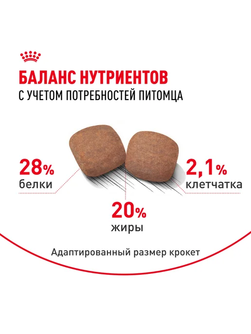 Сухой корм Royal canin Гигантских для собак, 15 кг, фото 4