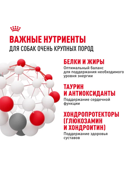 Сухой корм Royal canin Гигантских для собак, 15 кг, фото 5