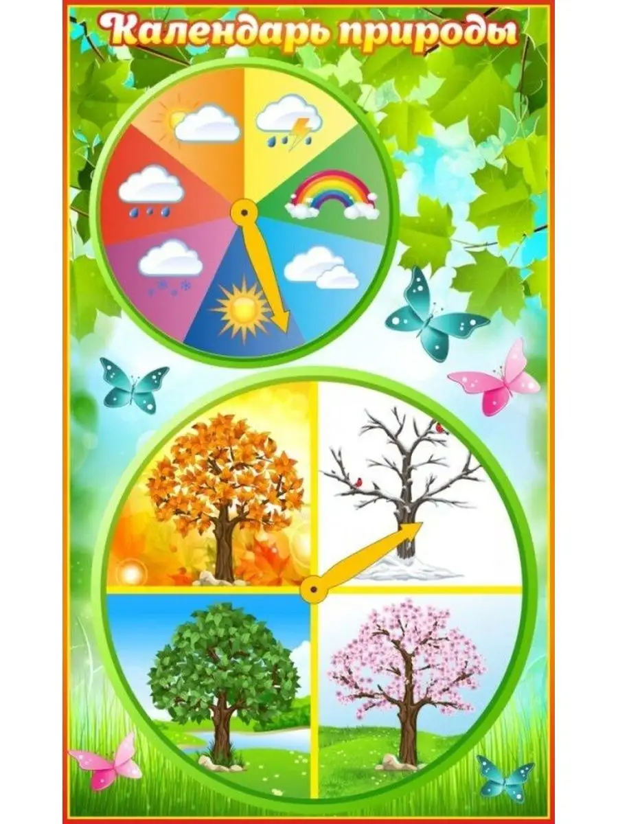 Календари природы для детского сада