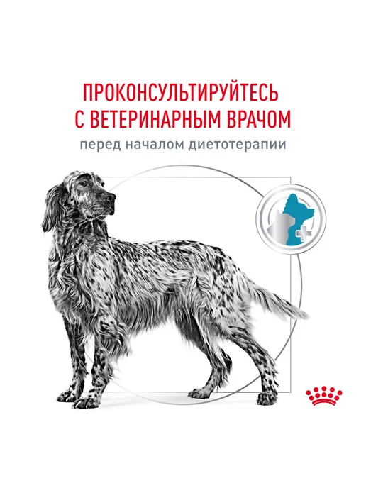 Сухой корм Royal canin Hypoallergenic для собак, гипоаллергенный, 14 кг, фото 7
