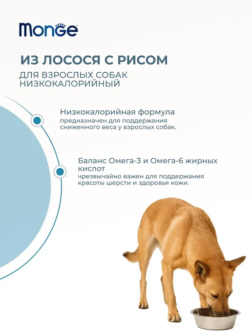Сухой корм MONGE Низкокалорийный для собак, взрослые, рыба, 12 кг, фото 2